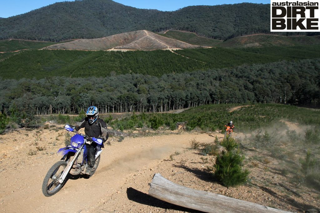 Suzuki DR-Z250 trail test