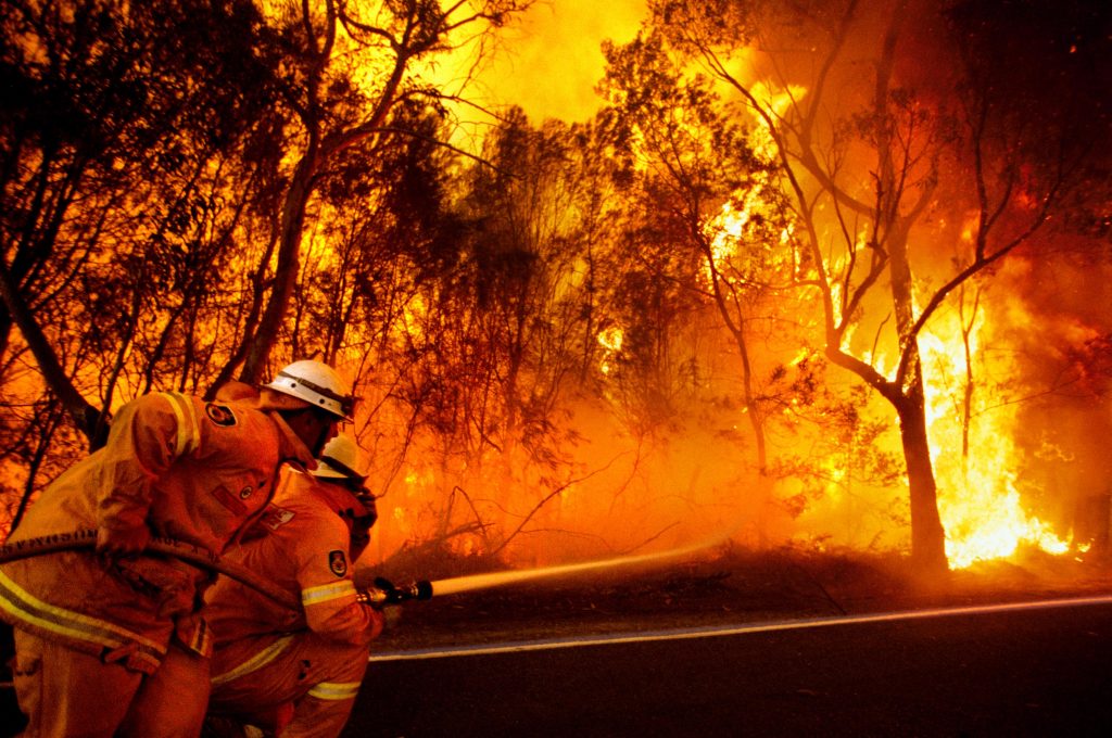 BushFire