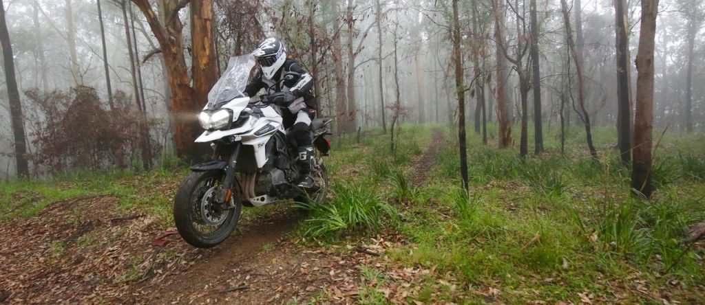 tiger 1200 off road