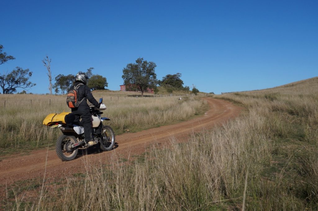  Suzuki DR