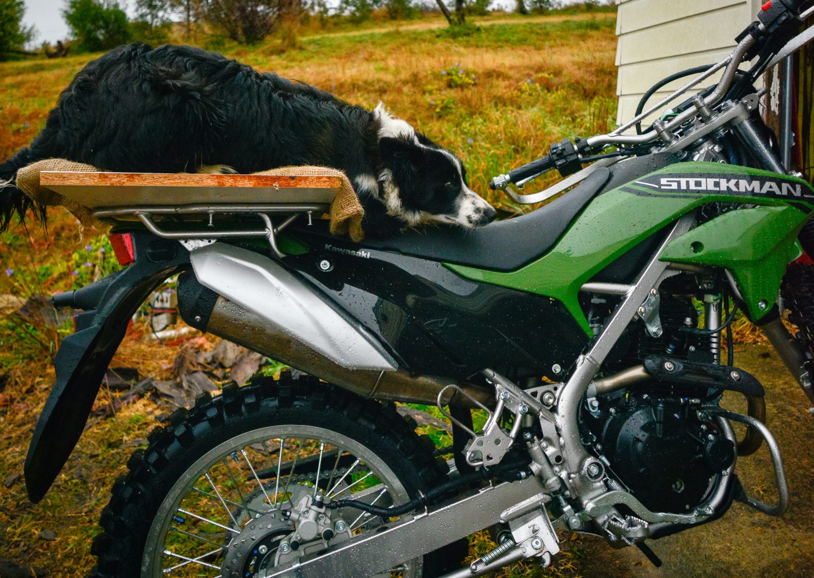 LONG TERM TEST | KAWASAKI STOCKMAN #1 - Australasian Dirt Bike Magazine